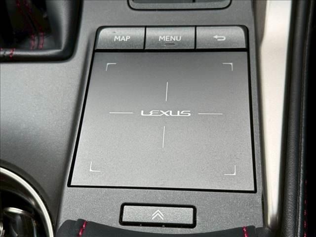 LEXUS NX300