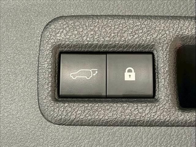 LEXUS NX300