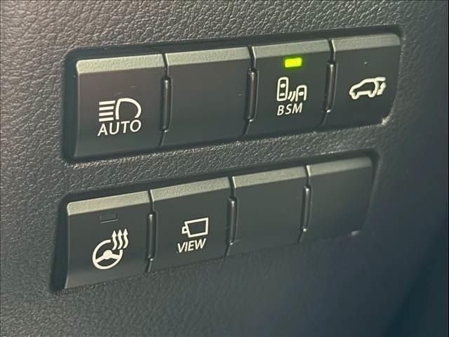 LEXUS NX300