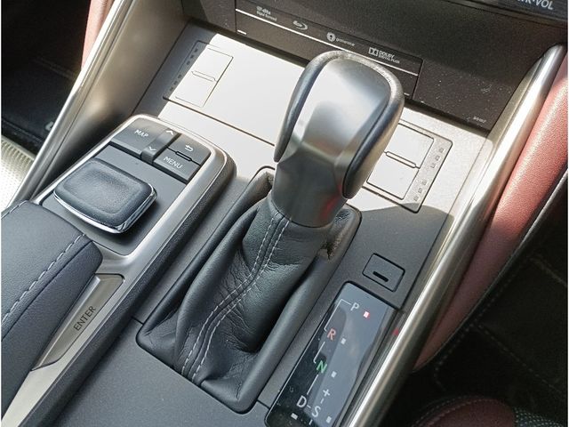 LEXUS IS300h