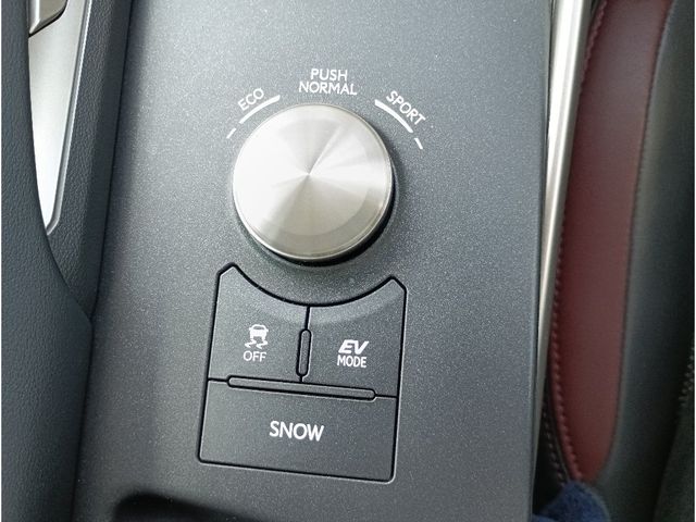 LEXUS IS300h