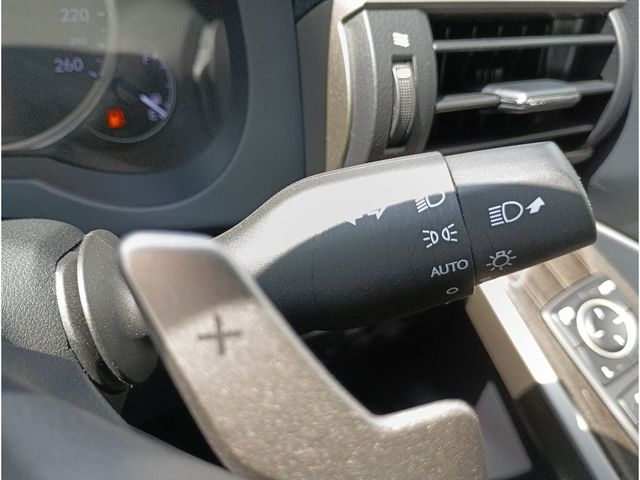 LEXUS IS300h