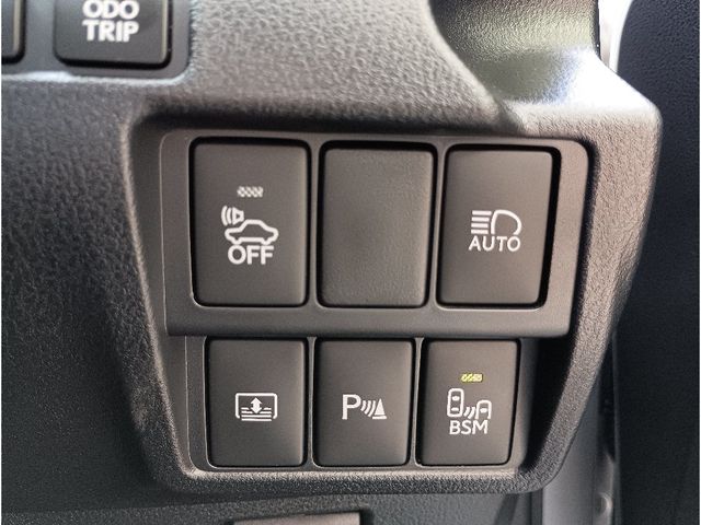 LEXUS IS300h