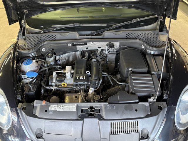 VOLKSWAGEN The BEETLE