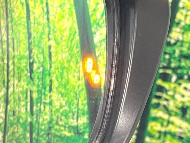 SERENA  S-HYBRID