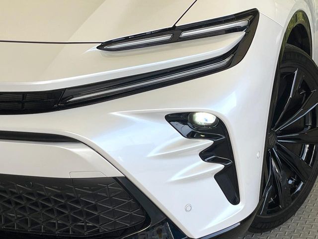 CROWN SPORT