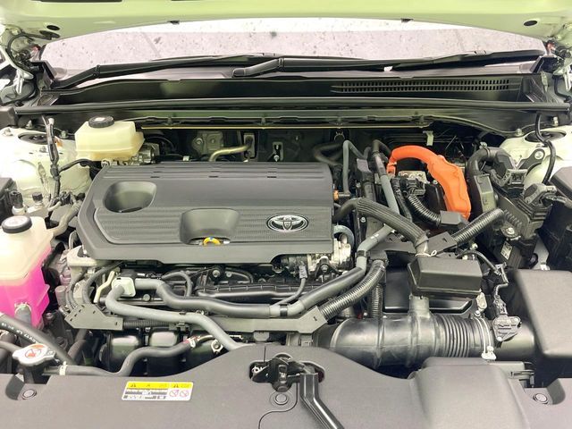 CROWN SPORT