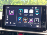 RAIZE HYBRID