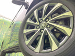 VOXY