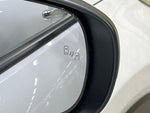 RAIZE HYBRID
