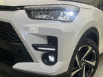RAIZE HYBRID