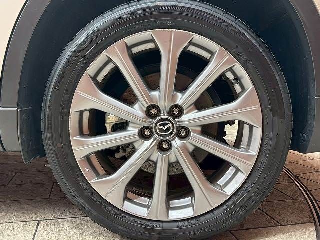 CX-80