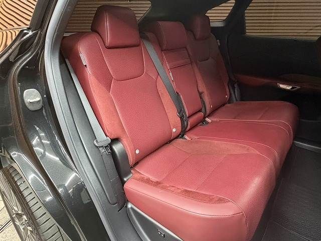 LEXUS RX500h