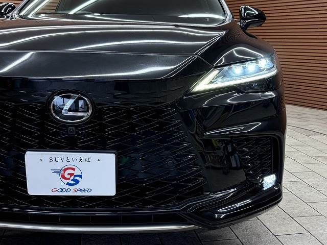 LEXUS RX500h