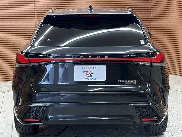 LEXUS RX500h