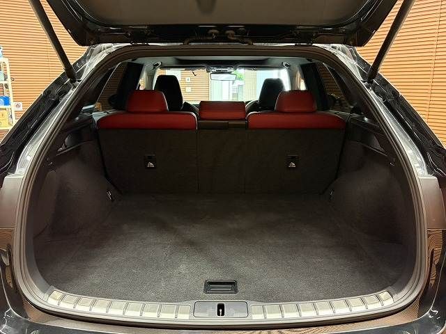 LEXUS RX500h