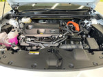 CROWN SPORT
