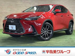 LEXUS NX450h+ AWD