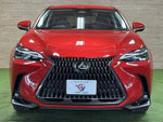 LEXUS NX450h+ AWD