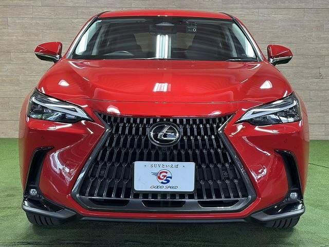 LEXUS NX450h+ AWD