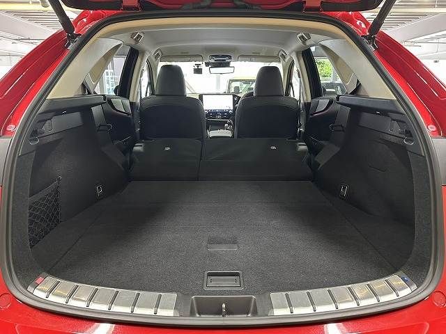 LEXUS NX450h+ AWD