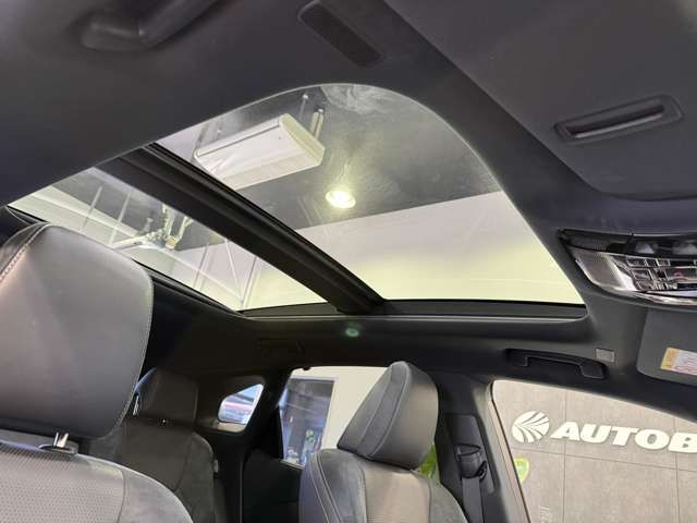 LEXUS RX450h+