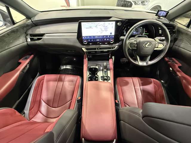 LEXUS RX500h