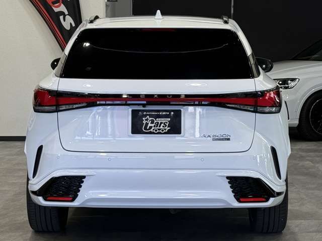 LEXUS RX500h