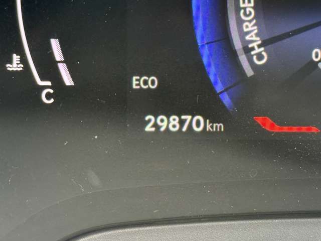 LEXUS RX500h