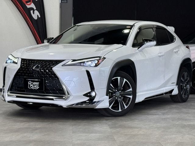 LEXUS UX250h AWD