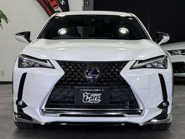 LEXUS UX250h AWD