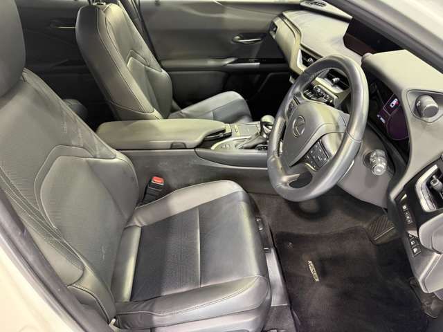 LEXUS UX250h AWD