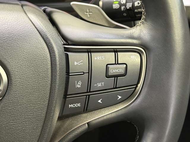 LEXUS UX250h AWD