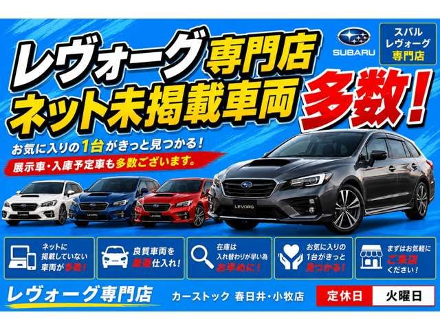 LEVORG