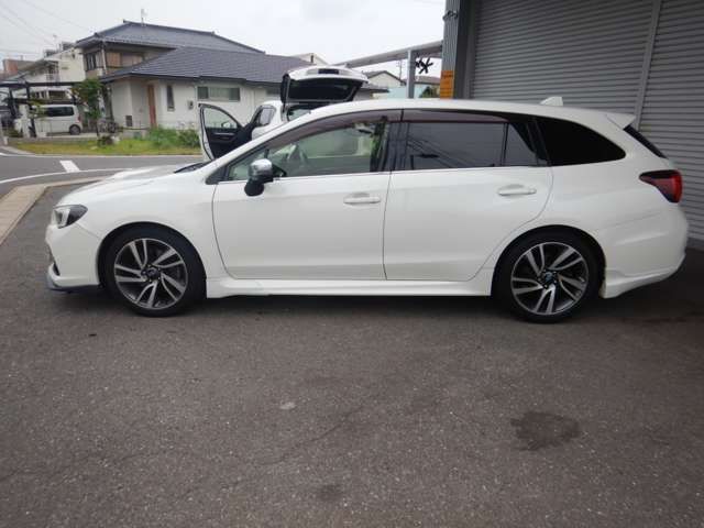 LEVORG