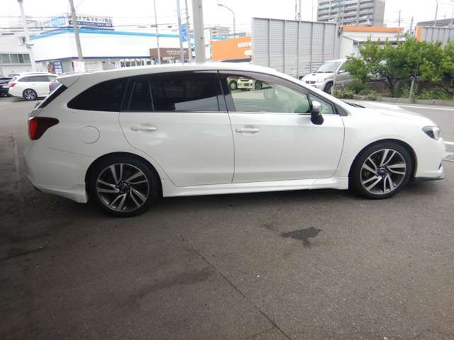 LEVORG
