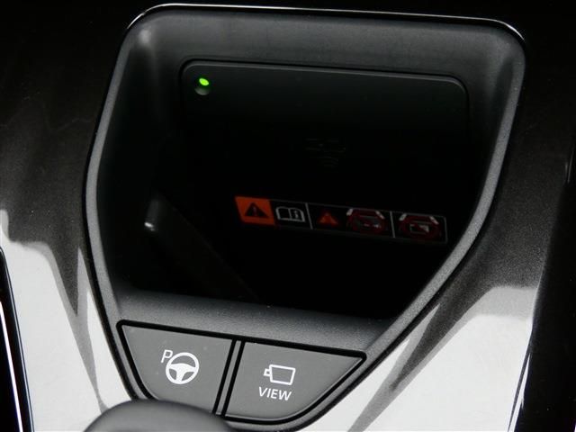 CROWN SPORT