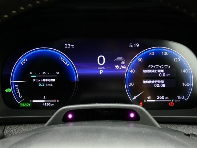 CROWN SPORT