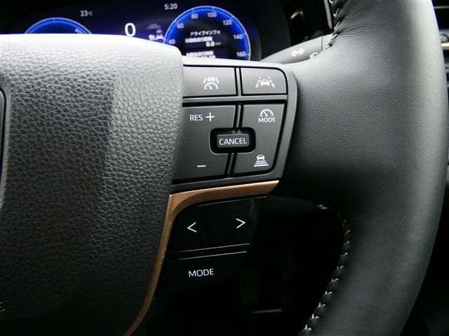 CROWN SPORT