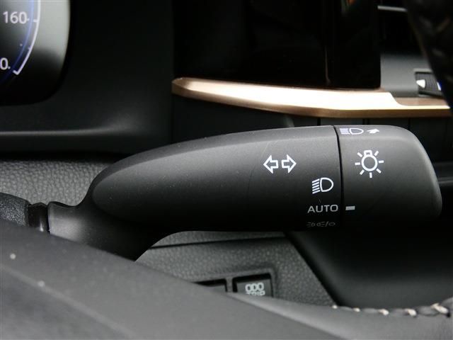 CROWN SPORT