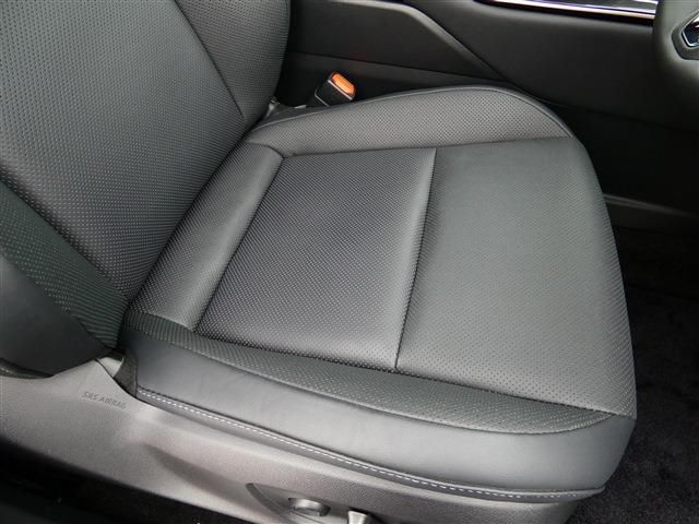 CROWN SPORT