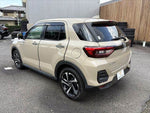 RAIZE HYBRID