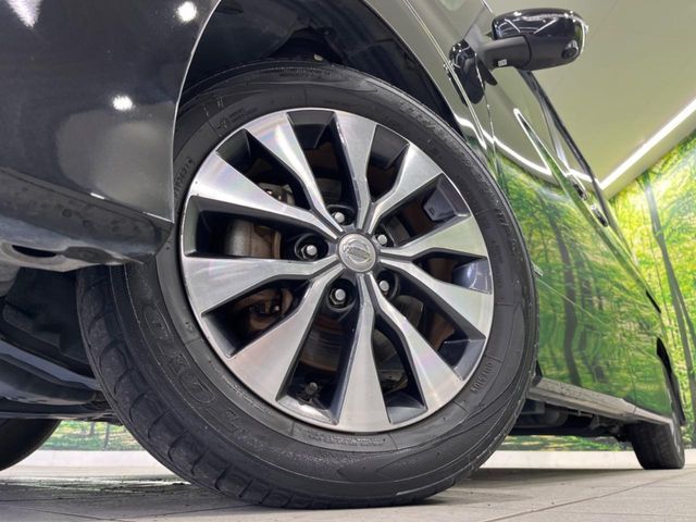 SERENA  S-HYBRID