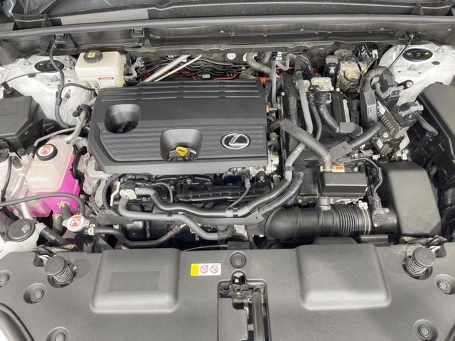 LEXUS NX350h