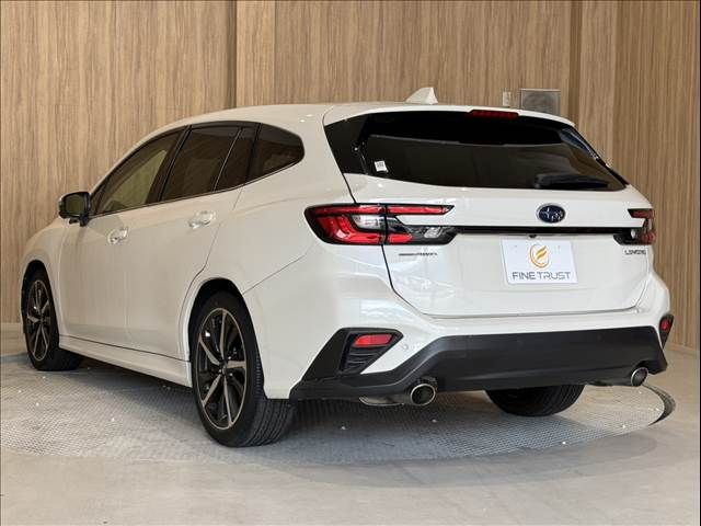 LEVORG