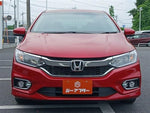 GRACE HYBRID
