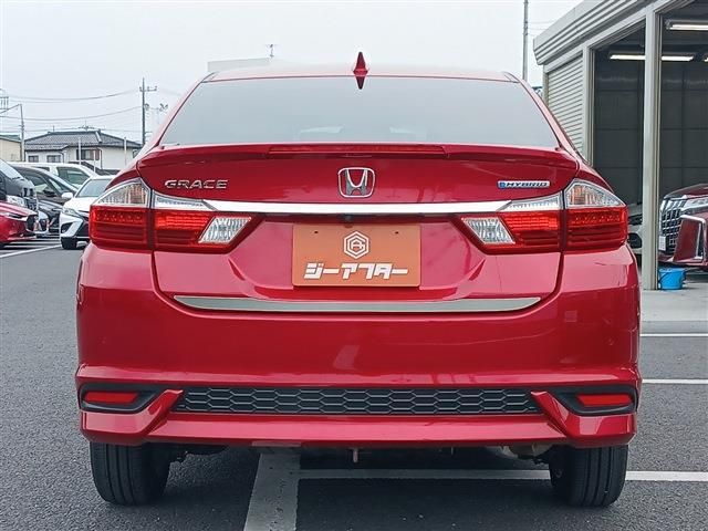GRACE HYBRID