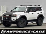 LANDCRUISER 250