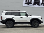 LANDCRUISER 250