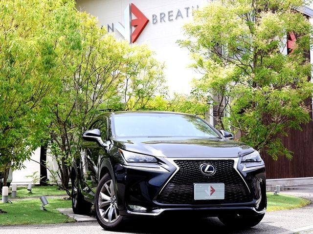 LEXUS NX200t